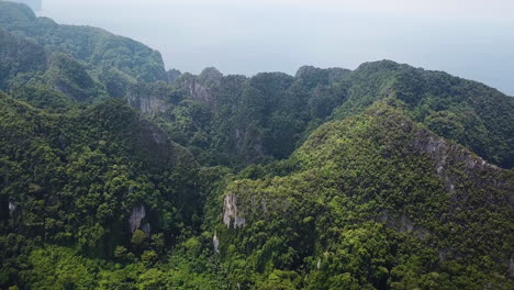 Limestone-Cliffs-and-Rainforest-Over-Them,-Drone-Aerial-View