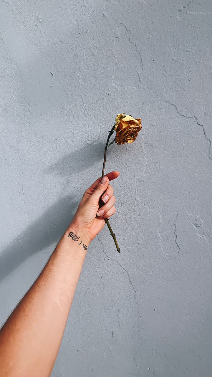 Rosa essiccata e tatuaggio sul braccio