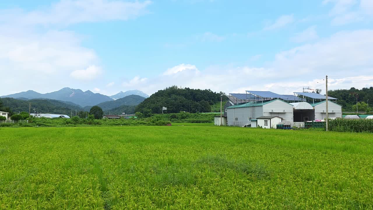 Eco-friendly agricultural facility features solar panels on the roof, surrounded by lush rice paddies and scenic hills