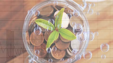 múltiples burbujas flotando sobre el procesamiento de datos financieros contra la planta en vaso lleno de monedas
