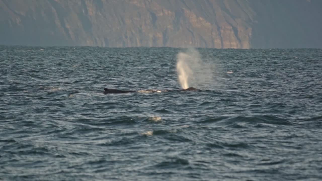A powerful whale spouts majestically in Húsavík's Skjálfandi Bay, its breath illuminated against a distant Icelandic coastline bathed in dramatic shafts of light and rain