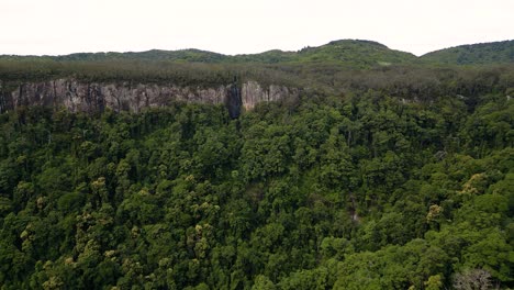 vista aérea en movimiento hacia adelante sobre las cataratas gemelas caminar en el parque nacional de springbrook, el interior de la costa de oro, queensland, australia