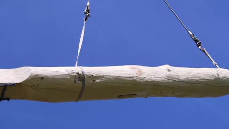 tronco levantado por una grúa