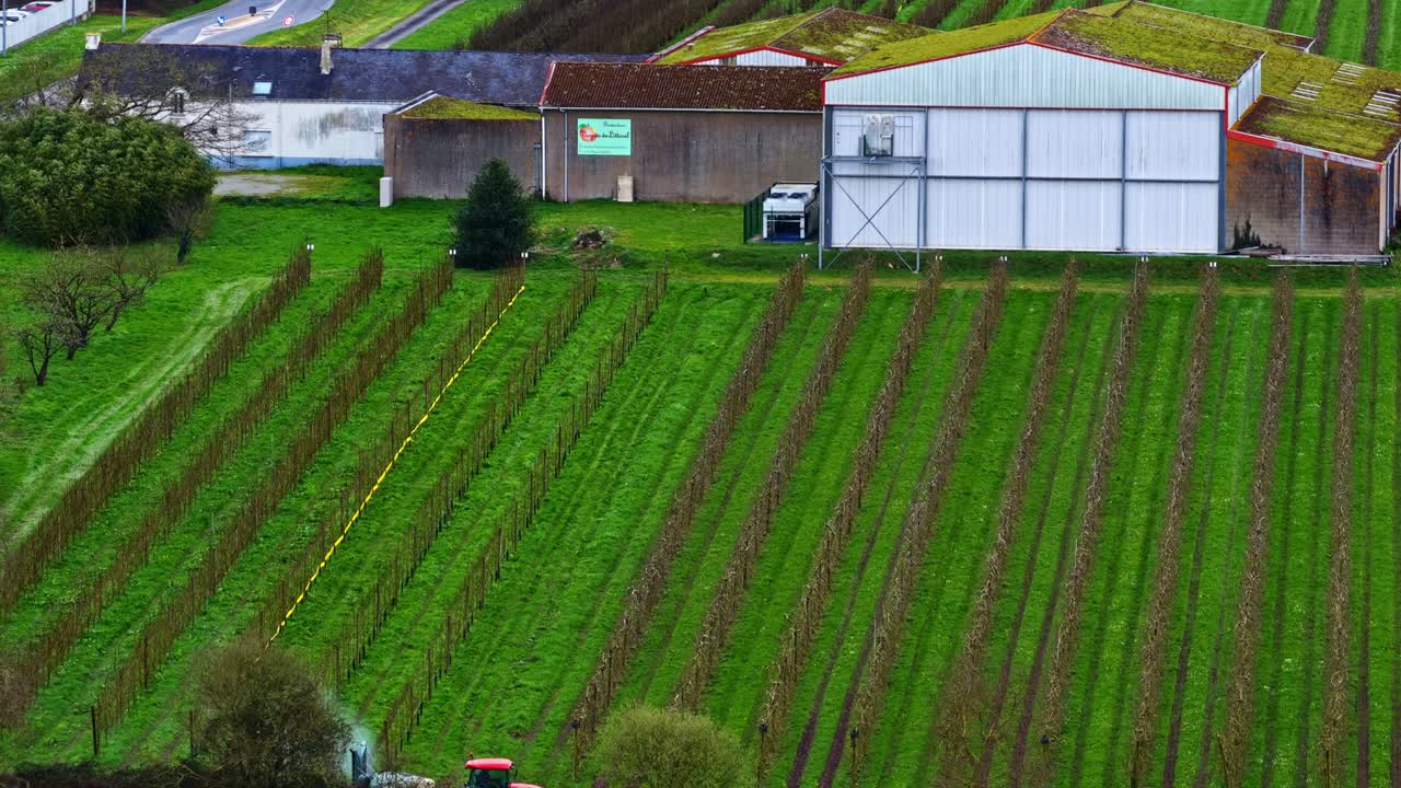Vista aerea di un trattore rosso che irrora filari di vigneto con edificio agricolo.