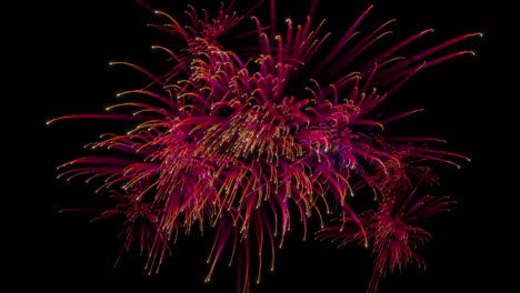 múltiples explosiones de fuegos artificiales con rastros.
