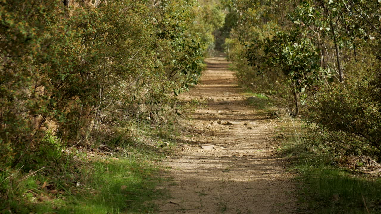 tramo recto de la pista de senderismo en el interior de australia inclinado hacia arriba