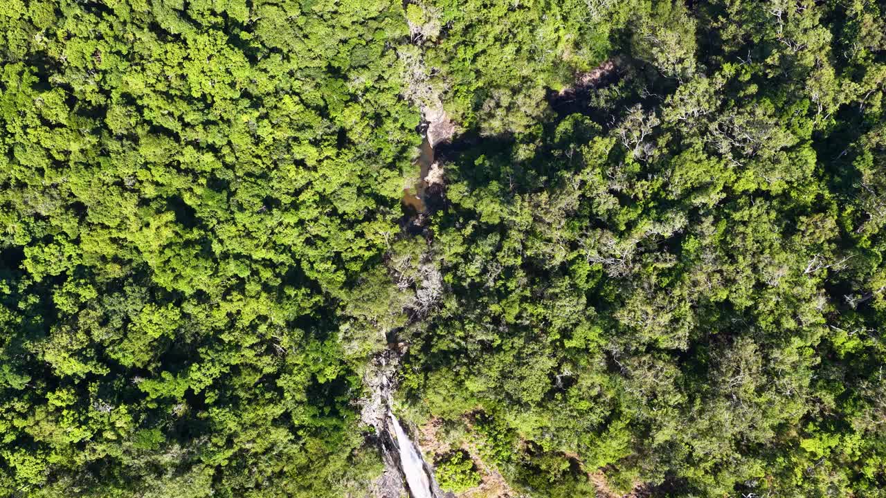Drone footage captures a waterfall cascading through dense greenery in Port Douglas, Queensland, under bright daylight