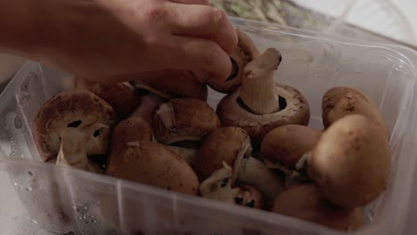 a lady's hand is retrieving mushrooms from the food container - close up