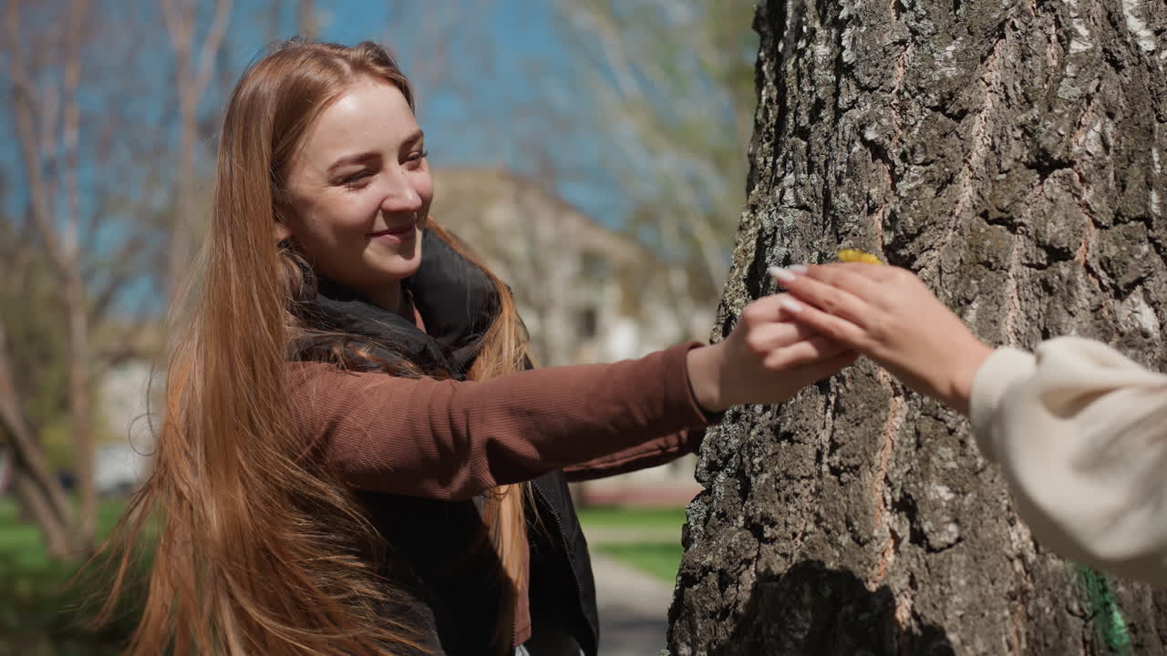 Amigos jugando al escondite entre los árboles, niños disfrutando de un divertido juego al escondite bajo el brillante sol de verano, escena alegre con amigos jugando al escondite entre árboles soleados y flora en flor