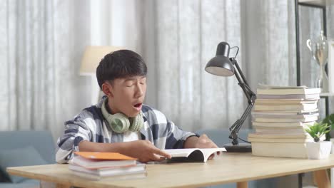 teenager sleeping at study desk