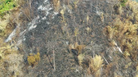 climate change effect many risk to human, life on earth and drought.