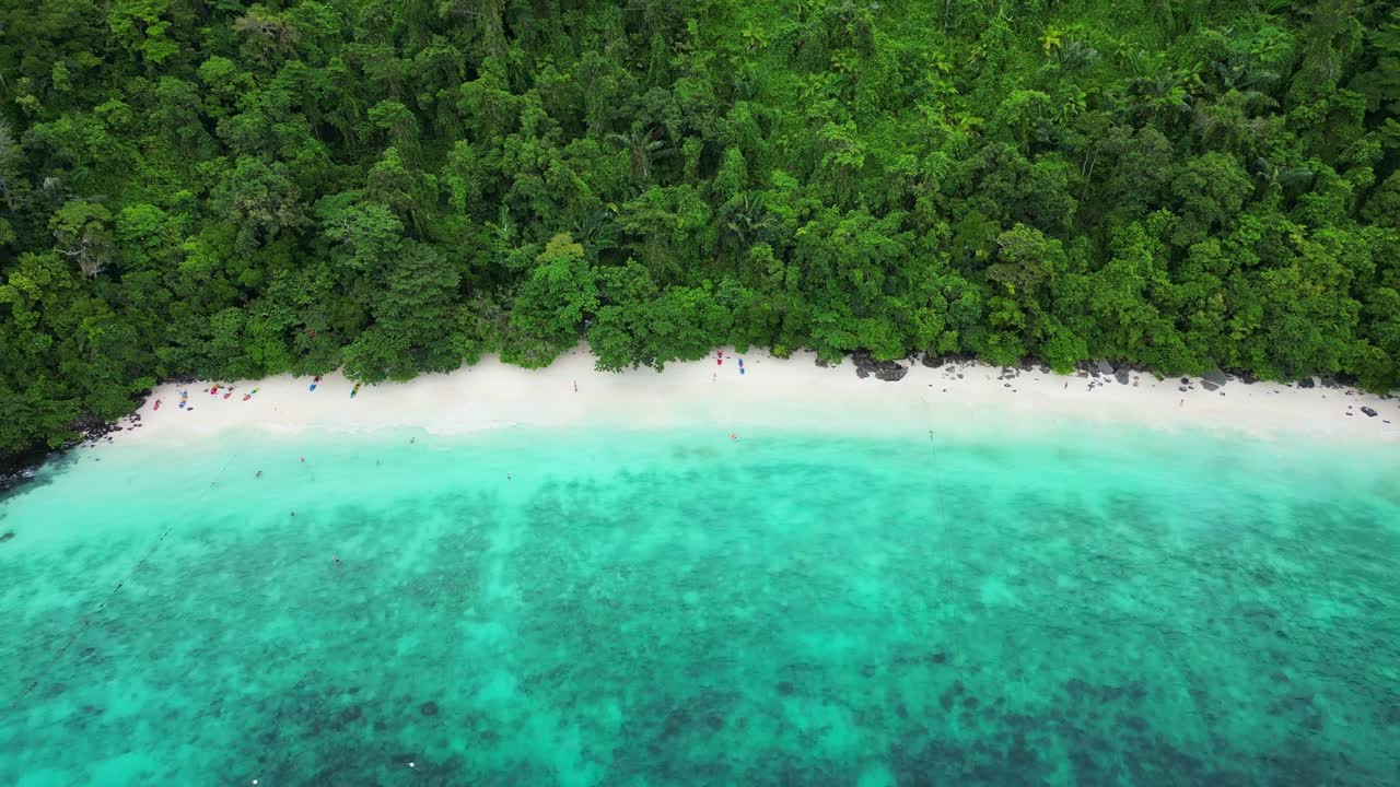Aerial view of a picturesque beach bordered by lush green rainforest and clear turquoise waters.