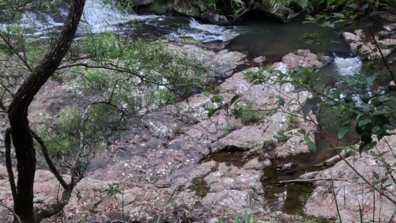 A gentle stream flows over rocks surrounded by sparse greenery and tree branches.
