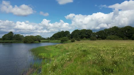 Slow-push-in-over-Spring-meadow-next-to-a-natural-pond