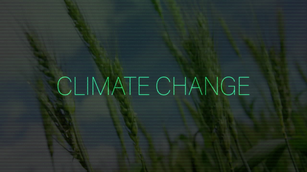 Neon green CLIMATE CHANGE_ text hovering over softly focused wheat stalks with digital scan-lines