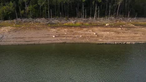 Pila-De-Troncos-De-árboles-Caídos-En-El-Bosque-Cerca-Del-Lago-Tanguil-En-Lago,-España