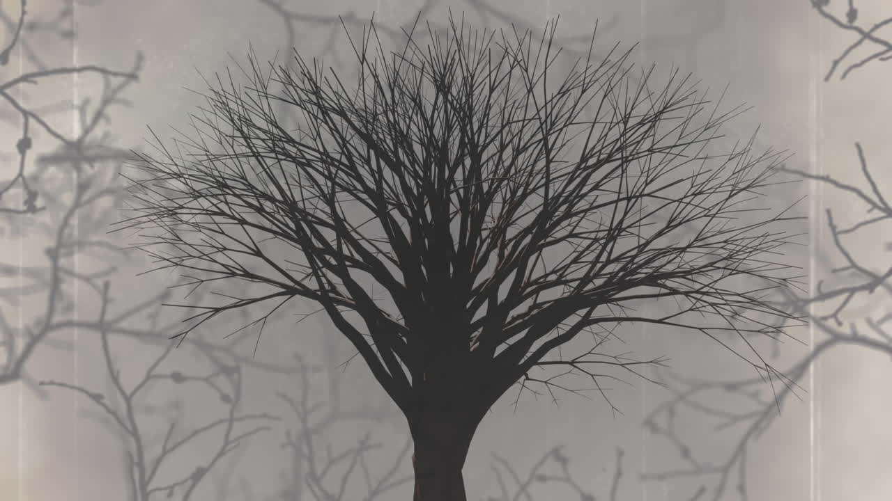 ⁇ 색 배경에 공포스러운 할로윈 나무와 가지에 대한 간섭의 애니메이션