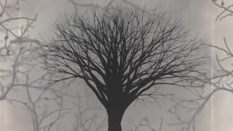 animation of interference over spooky halloween tree and branches on white background