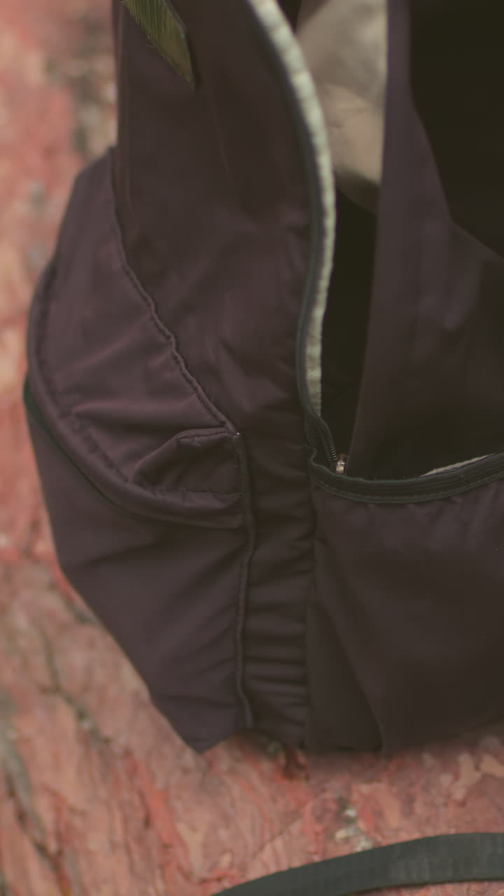 Close-up of black backpack resting on fallen tree trunk in a forest, the bag is partially unzipped, revealing contents, capturing outdoor adventure essentials during a peaceful nature hike