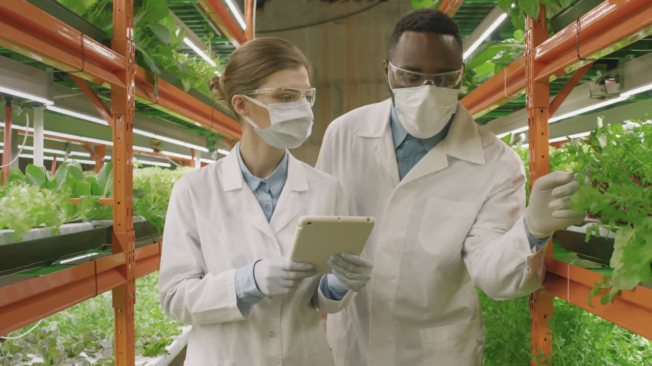 Botanists With Digital Tablet Inspecting Vertical Farm