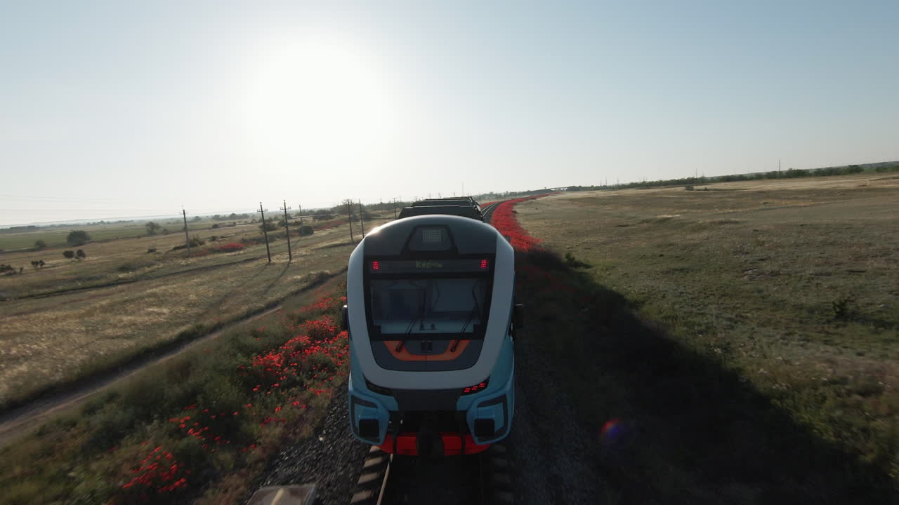 tren moderno en un campo de amapolas
