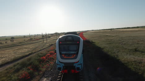 modern train on a poppy field