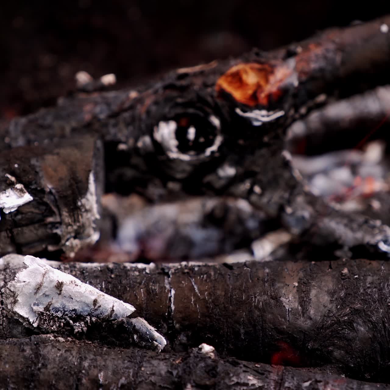 Wooden embers glowing in fire. Smoldered black logs burning in fire on dark background. Close-up.