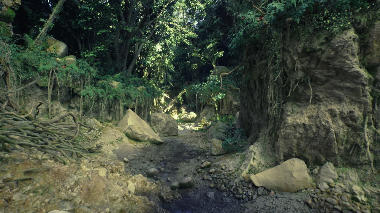 Lush green forest with rocky terrain under bright sunlight in daytime