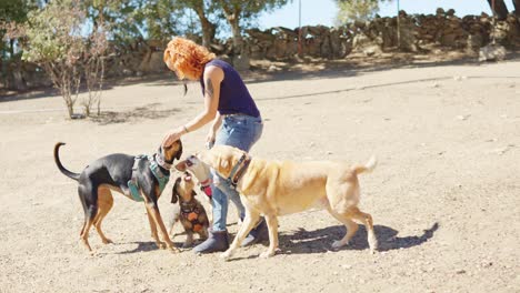woman and her dogs enjoying an outdoor day