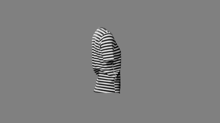 Striped T-Shirt