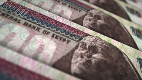 animación del bucle de la superficie del billete de la libra egipcia