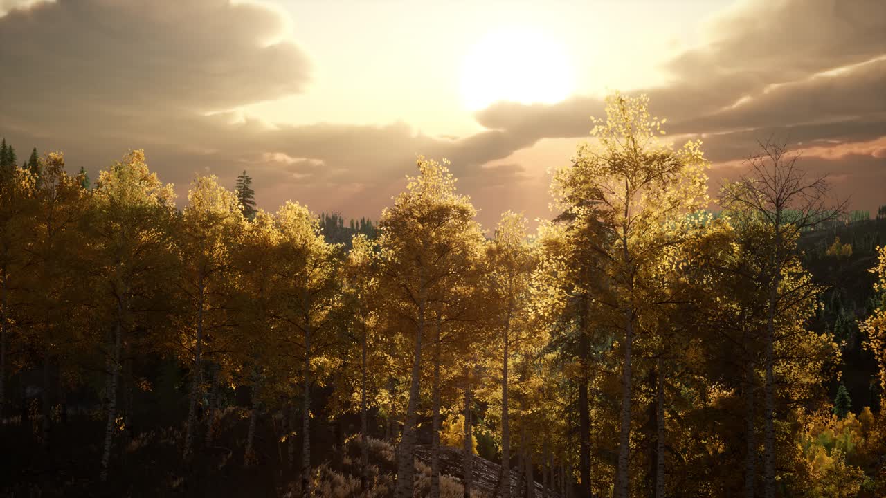 산악 풍경 의 여름 숲