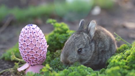cute rabbit next to a beaded easter egg