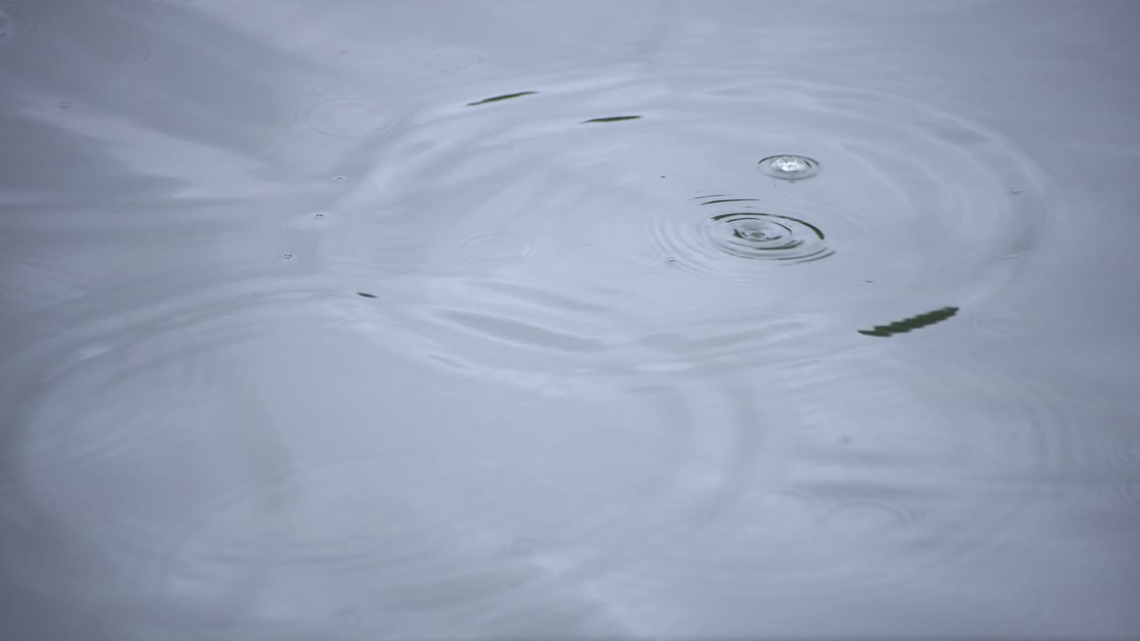 Slowmotion af en regndråbe i dammen på en regnvejrsdag, nærbillede