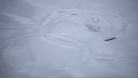 a slow motion of rain drop in the water the pond rainy day closeup