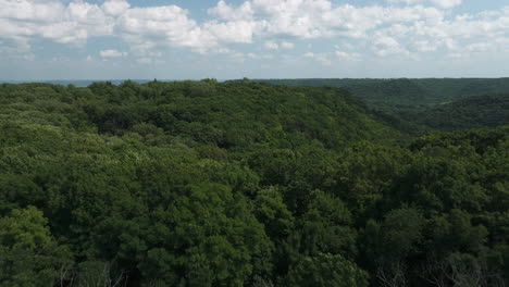 Flying-Over-Lush-Green-Jungle-Rainforest-In-Minnesota,-USA---drone-shot