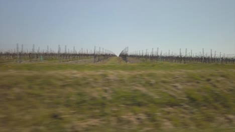 car-driving-by-vineyard-in-Charente-France