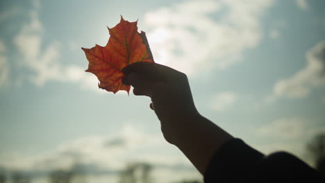 hand holding autumn leaf against sky
