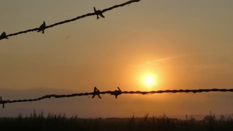 een uitzicht op de zonsondergang door de draadomheining op een zomerdag