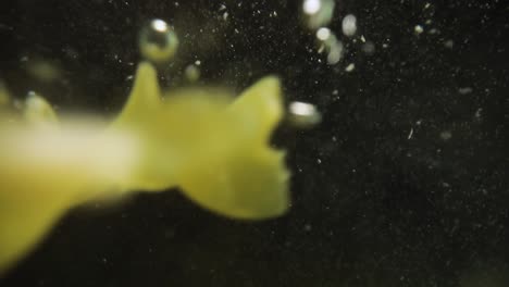 fusilli pasta falling into water.