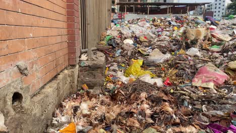 un perro caminando en un montón de basura en la ciudad de dhaka en bangladesh