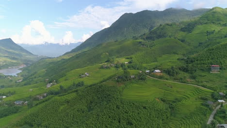 Toma-Aérea-Del-Valle-Del-Campo-De-Arroz,-Sapa,-Lao-Cai,-Vietnam