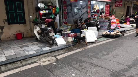 busy street market with a dog and motorcycles