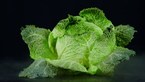 fresh forks savoy cabbage with cool steam.