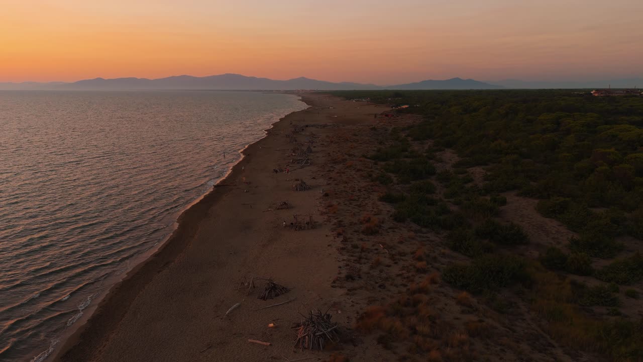 Spiaggia sabbiosa con tipi di legni galleggianti al tramonto