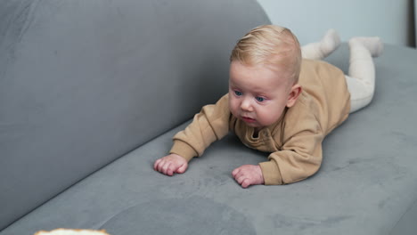 lovely blond baby boy lies on the belly in front of a cake. blue-eyed kid looks at the dessert attentively.