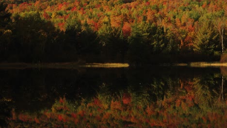 colorful leaves trees reflecting off tranquil pond new england