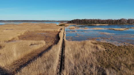 Sendero-De-Madera-A-Través-Del-Lago-Kaniera-Cañas-Tiro-Aéreo-De-Primavera-Lapmezciems,-Letonia