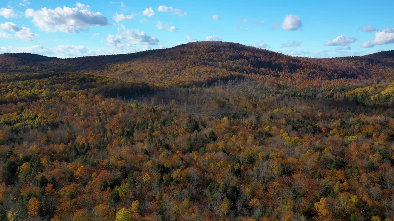 imágenes aéreas volando hacia una colina en el bosque de finales de otoño