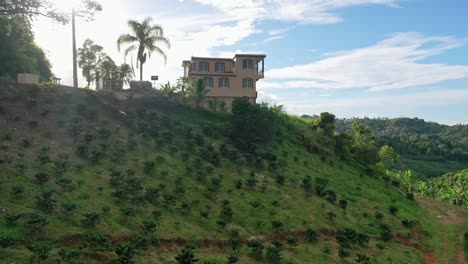 Coffee-farm-with-a-hundred-of-coffee-pants